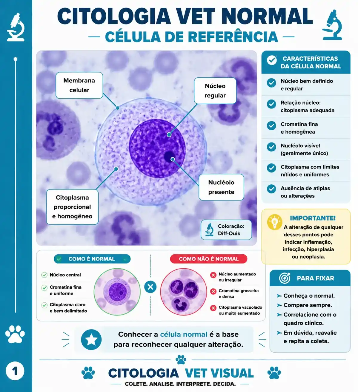 Célula de referência